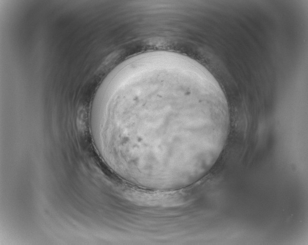 X0000081570036200701221104