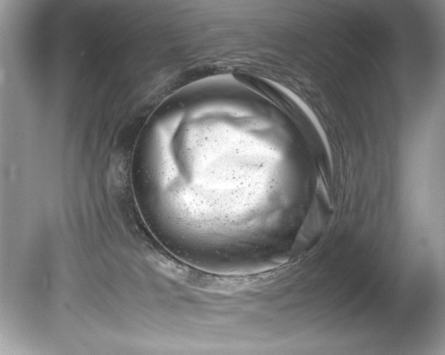 X0000081570037200701221104