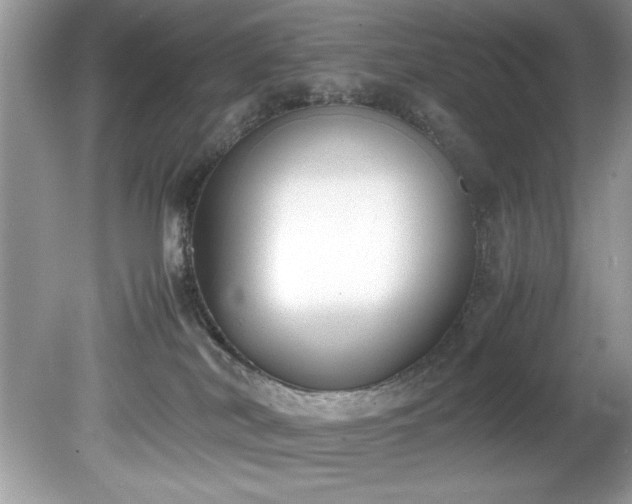 X0000081570038200701221104