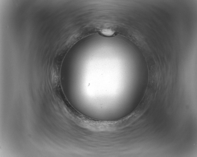 X0000081570040200701221104