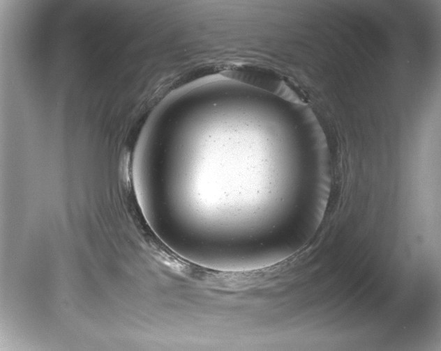 X0000081570041200701221104