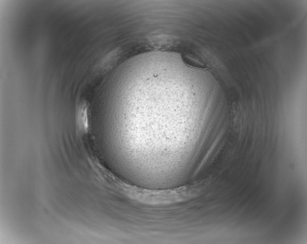 X0000081570042200701221104