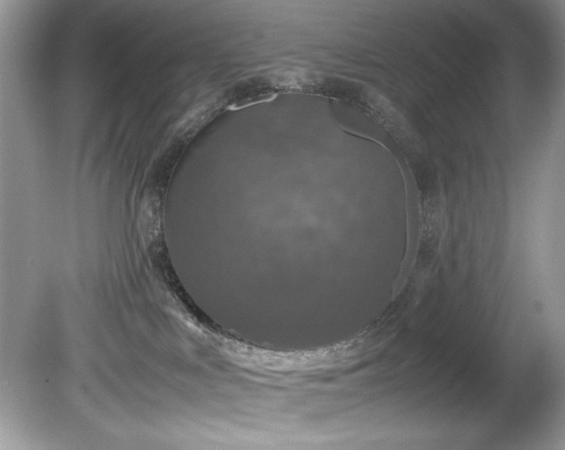 X0000081570043200701221104