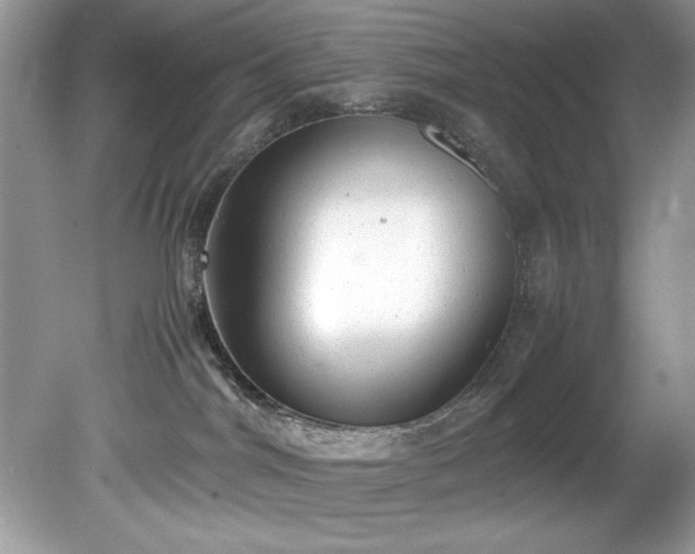 X0000081570044200701221104