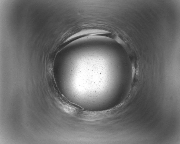 X0000081570045200701221104