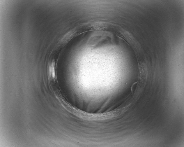 X0000081570046200701221104