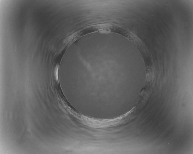 X0000081570047200701221104