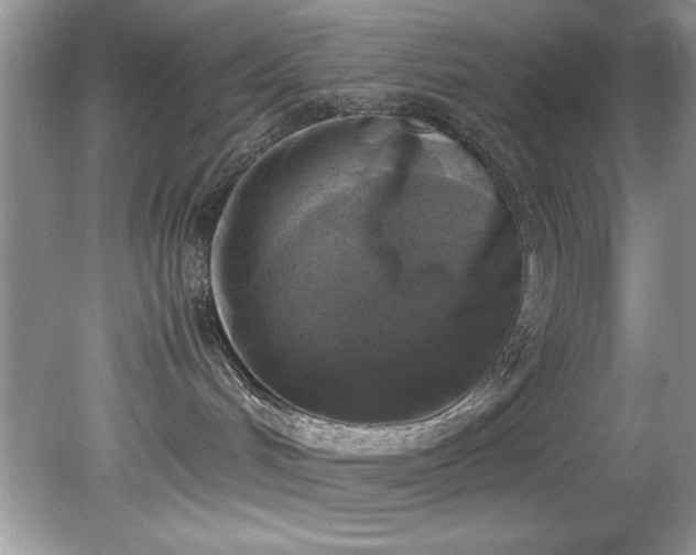 X0000081570048200701221104