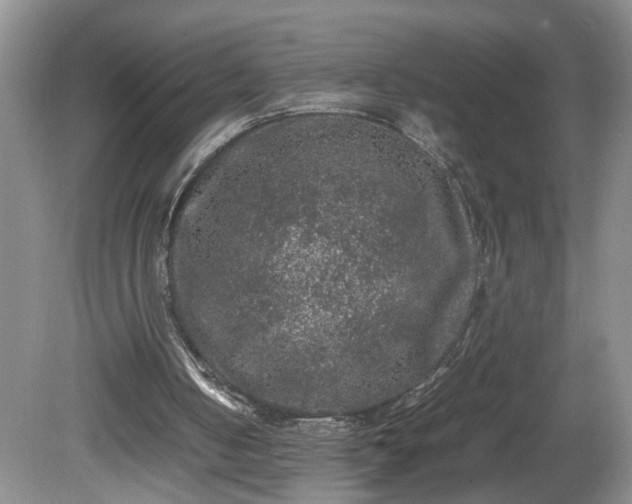 X0000081570050200701221103