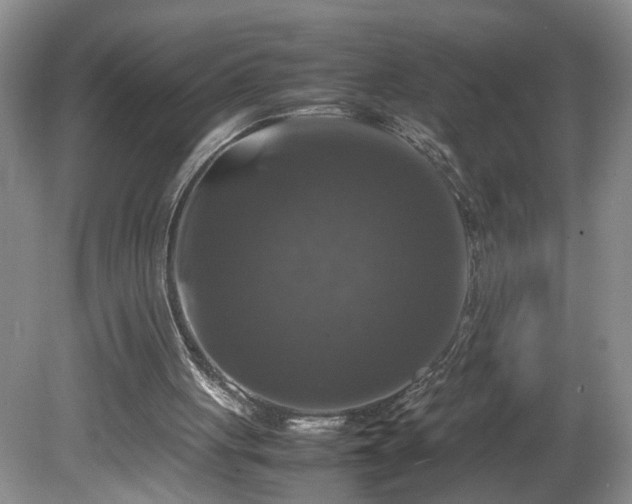 X0000081570051200701221103