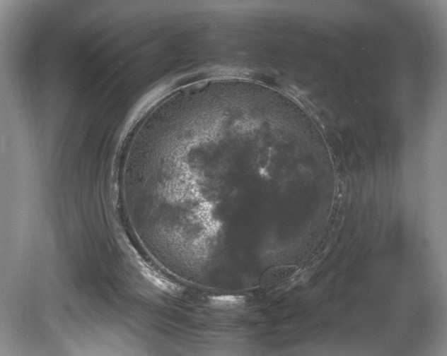 X0000081570053200701221103