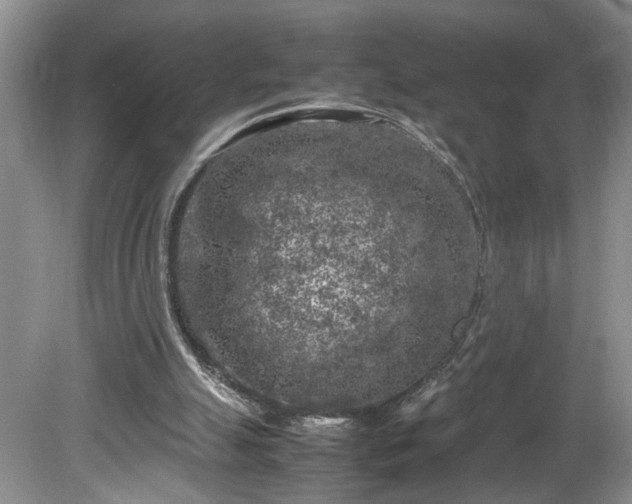 X0000081570055200701221103