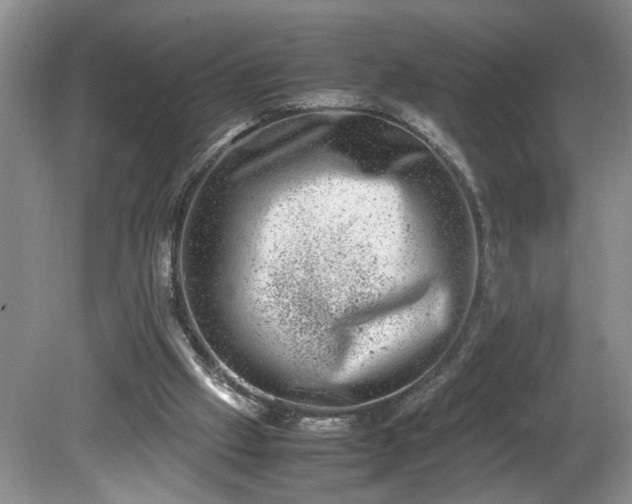 X0000081570057200701221103