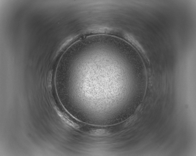 X0000081570058200701221103