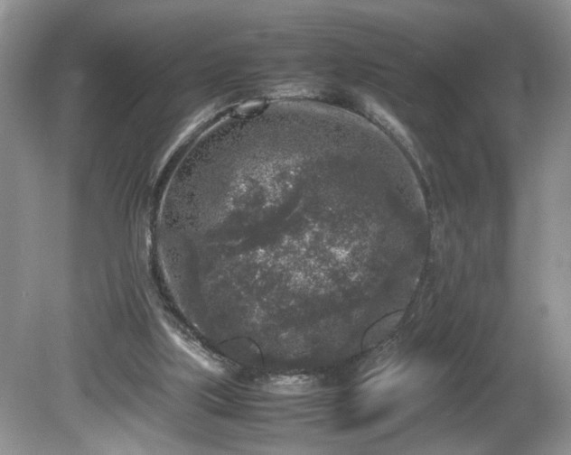 X0000081570059200701221103