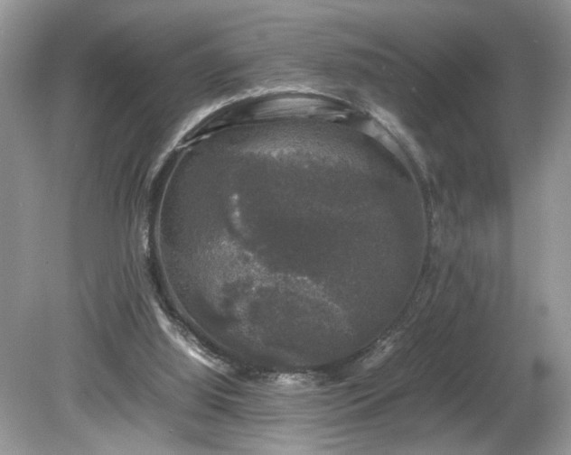 X0000081570060200701221103