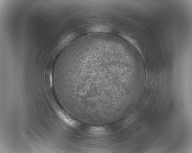 X0000081570061200701221103