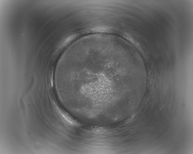 X0000081570062200701221103