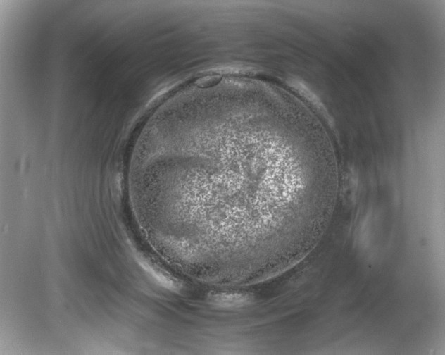 X0000081570063200701221103