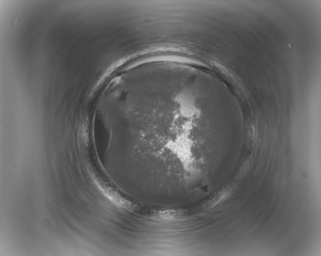 X0000081570064200701221103