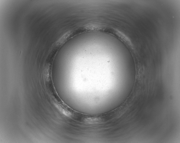 X0000081570065200701221103