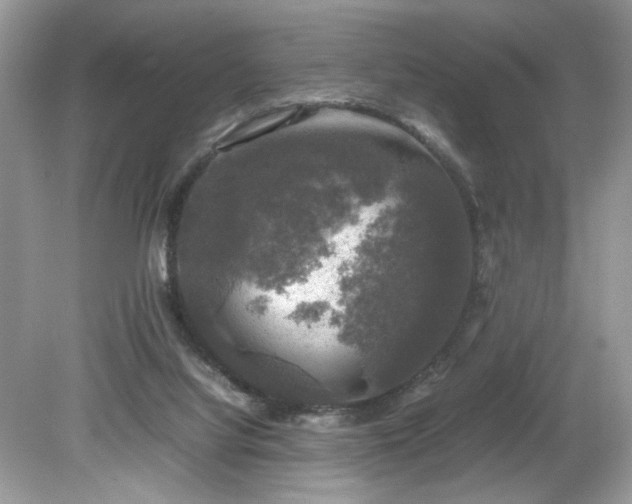 X0000081570068200701221103