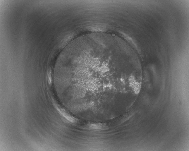 X0000081570069200701221103