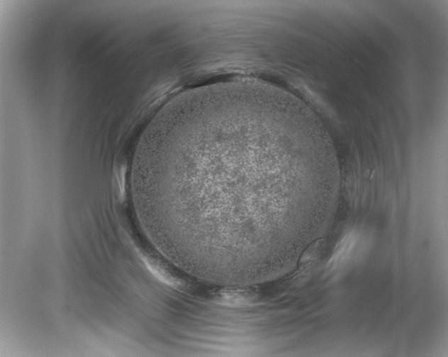 X0000081570070200701221103