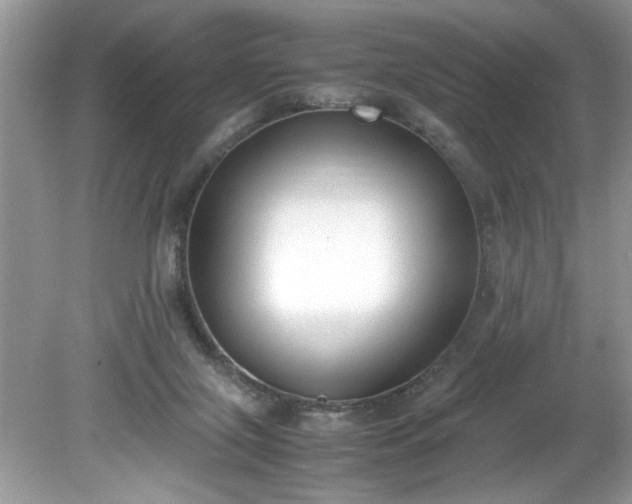 X0000081570071200701221103