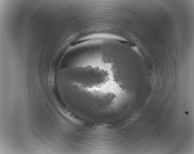 X0000081570072200701221104