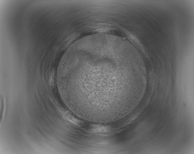 X0000081570073200701221104