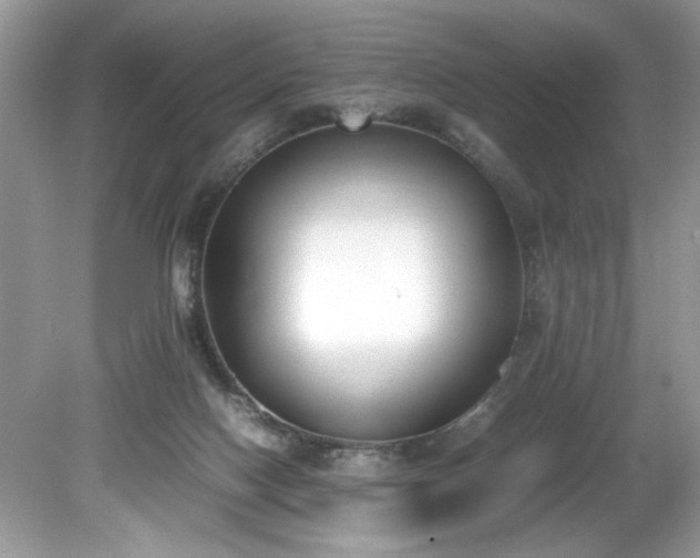 X0000081570074200701221104