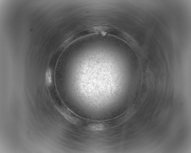 X0000081570075200701221104