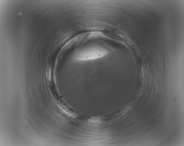 X0000081570076200701221104