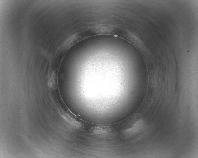 X0000081570077200701221104