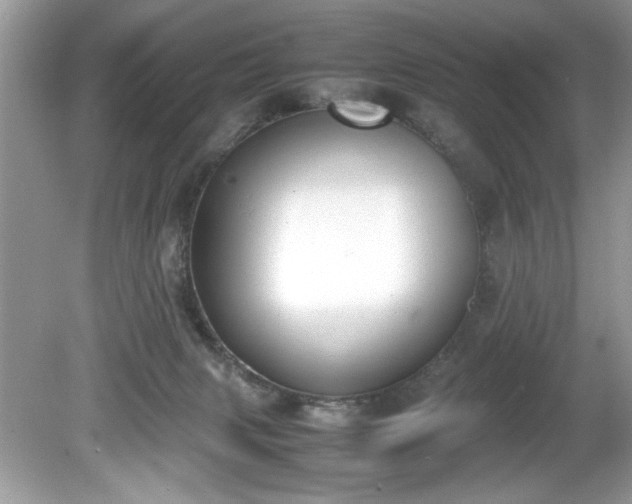 X0000081570079200701221104