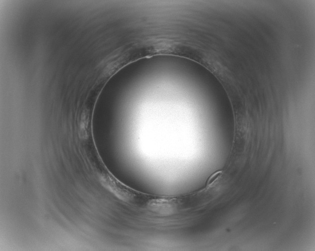 X0000081570082200701221104