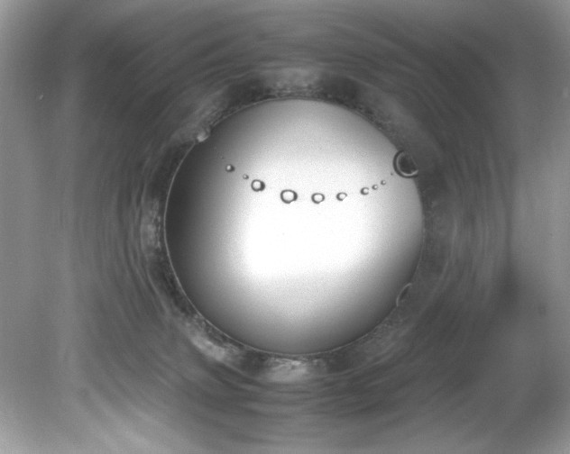 X0000081570083200701221104