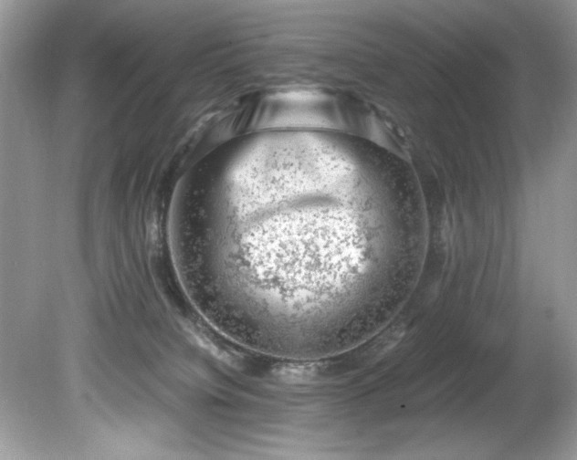 X0000081570084200701221104