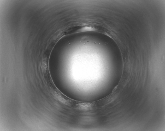 X0000081570085200701221104