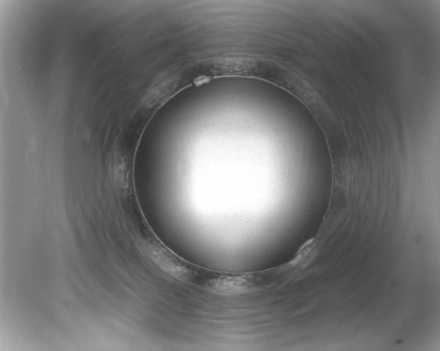 X0000081570086200701221104