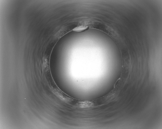 X0000081570087200701221104