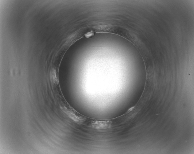 X0000081570089200701221104