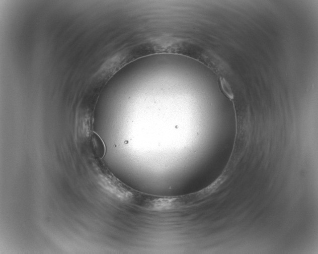 X0000081570090200701221104