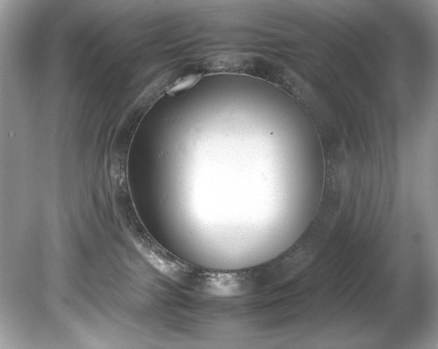 X0000081570091200701221104