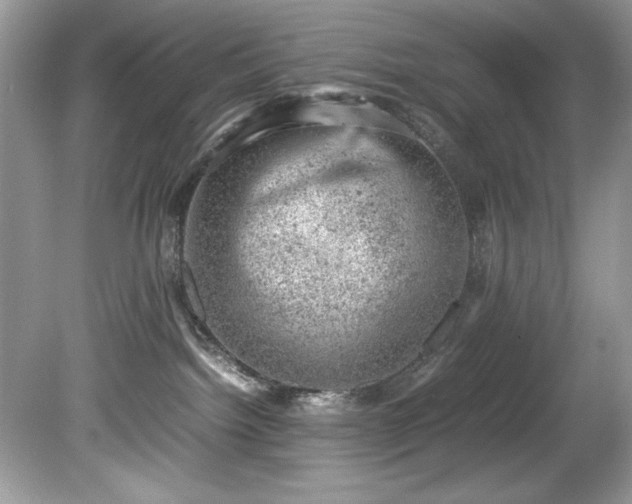 X0000081570092200701221104