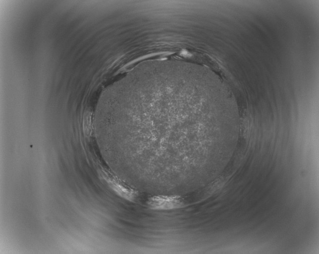 X0000081570093200701221104