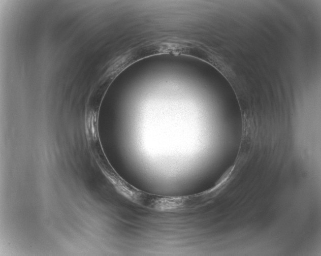 X0000081570094200701221104