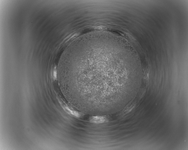 X0000081570095200701221104