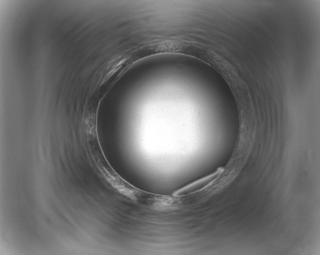 X0000081570096200701221104